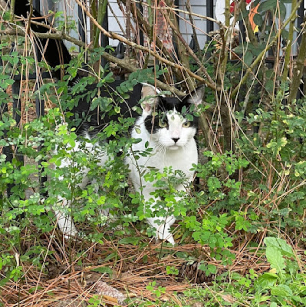 Meet your Posher, Baileigh